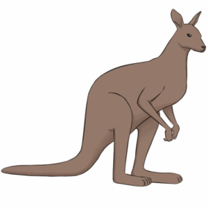 Kangaroo Premium